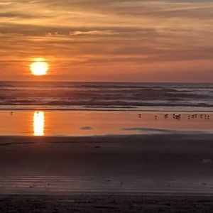 Meet your Posher, Sebrina